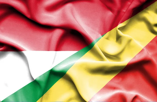 Flagge der Republik Kongo und Monacos schwenkend — Stockfoto