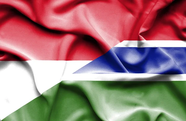 Flagge von Gambia und Monaco schwenkend — Stockfoto