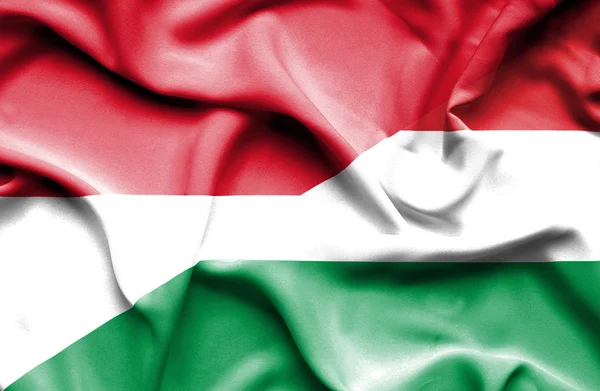 匈牙利和摩纳哥那飘扬的旗帜 — 图库照片