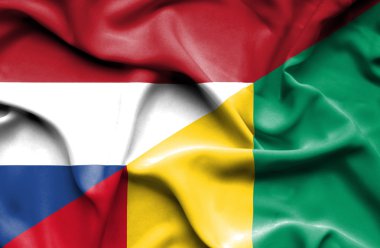 Gine ve Hollanda bayrağı sallayarak