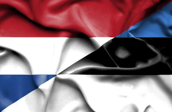Flagge von Estland und den Niederlanden schwenken — Stockfoto