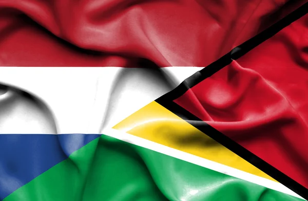 Viftande flagga guyana och Nederländerna — Stockfoto