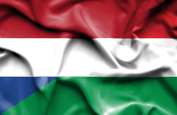 Waving flag of Hungary and Netherlands — Stock Photo, Image