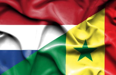 senegal ve Hollanda bayrağı sallayarak