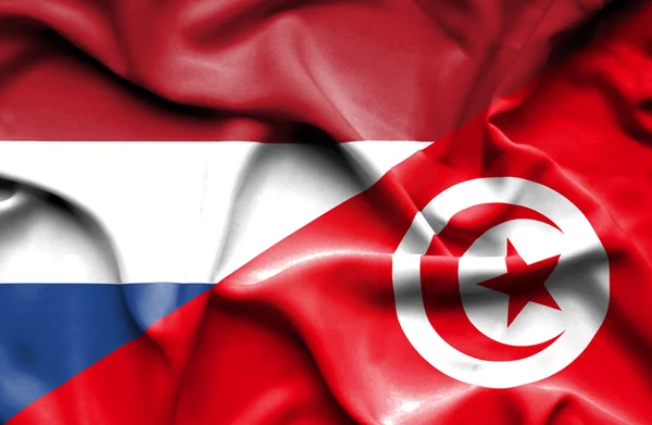 Waving flag of Tunisia and Netherlands — Stock Photo, Image