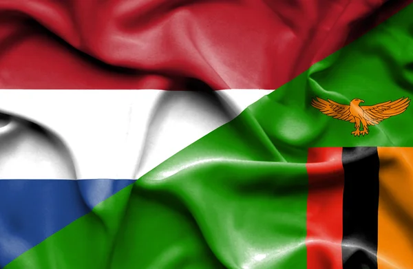 津巴布韦和荷兰那飘扬的旗帜 — 图库照片
