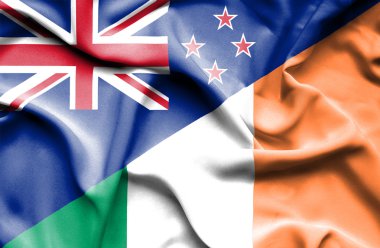 İrlanda ve Yeni Zelanda bayrağı sallayarak