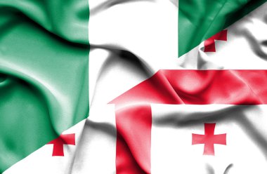 Gürcistan ve Türkiye bayrağı sallayarak