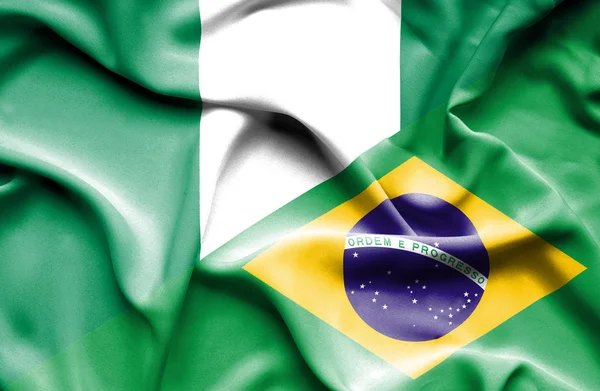 브라질, 나이지리아의 깃발을 흔들며 — 스톡 사진