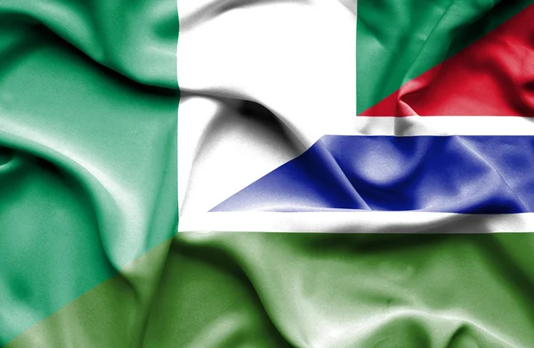 冈比亚和尼日利亚那飘扬的旗帜 — 图库照片