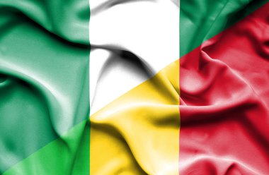 mali ve Nijerya bayrağı sallayarak