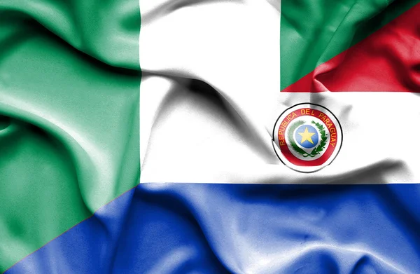 Κουνώντας τη σημαία της Παραγουάης και της Νιγηρίας — Φωτογραφία Αρχείου