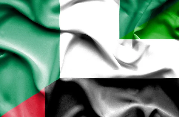 Waving flag of United Arab Emirates and Nigeria — Stock Photo, Image