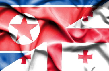 Gürcistan ve Kuzey Kore bayrağı sallayarak