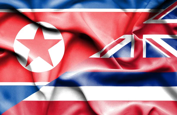 Flagge von Hawaii und Nordkorea schwenken — Stockfoto