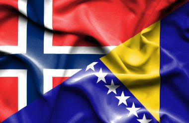 Bosna ve Hersek ve Norveç bayrağı sallayarak