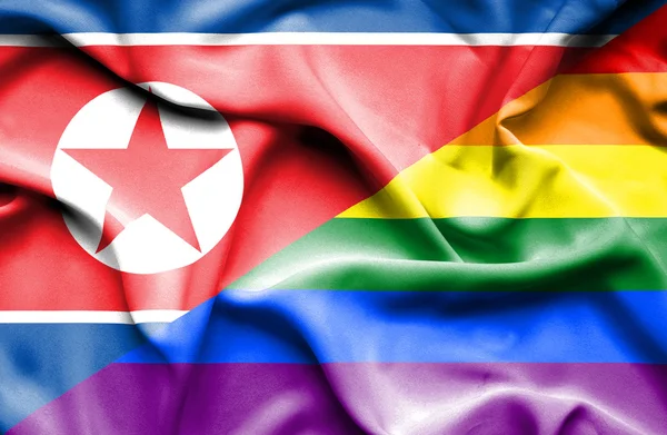 Flagge des Stolzes und Nordkoreas geschwenkt — Stockfoto