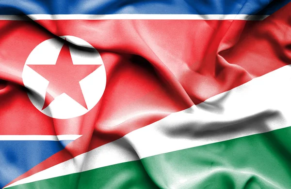 Flagge der Seychellen und Nordkoreas schwenken — Stockfoto