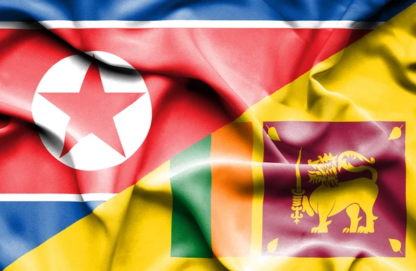Flagge von Sri Lanka und Nordkorea schwenkend — Stockfoto