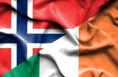 İrlanda ve Norveç bayrağı sallayarak