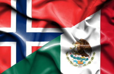 Meksika ve Norveç bayrağı sallayarak