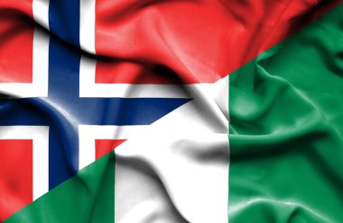 Nijerya ve Norveç bayrağı sallayarak