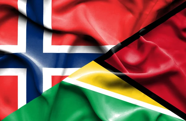 ガイアナとノルウェーの旗を振っています。 — ストック写真
