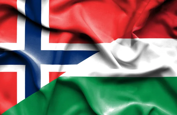 Bandera ondeante de Hungría y Noruega — Foto de Stock