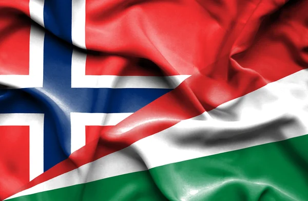 Wapperende vlag van Seychellen en Noorwegen — Stockfoto