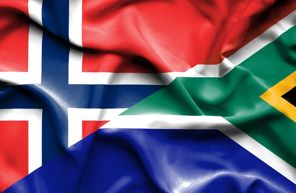 Güney Afrika ve Norveç bayrağı sallayarak — Stok fotoğraf