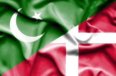 Danimarka ve pakistan bayrağı sallayarak