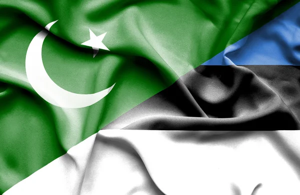 Waving flag of Estonia and Pakistan — Stock Photo, Image