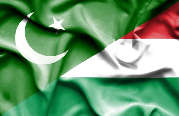 Waving flag of Hungary and Pakistan — Stock Photo, Image