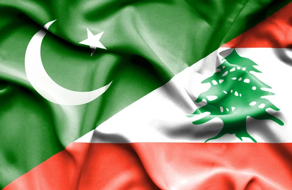 레바논과 파키스탄의 깃발을 흔들며 — 스톡 사진