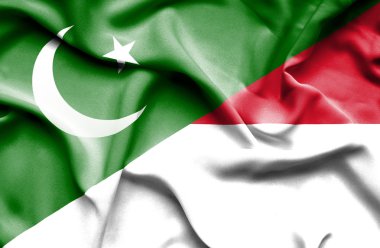 Monako ve pakistan bayrağı sallayarak
