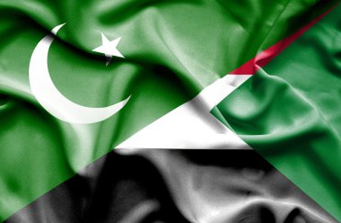 sudan ve pakistan bayrağı sallayarak