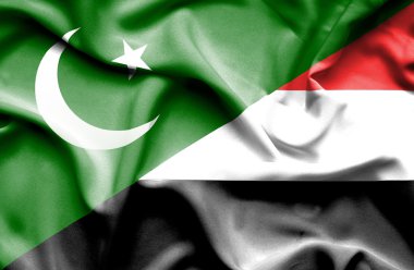 yemen ve pakistan bayrağı sallayarak