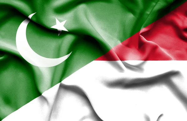 Waving flag of Monaco and Pakistan — Stock Photo, Image