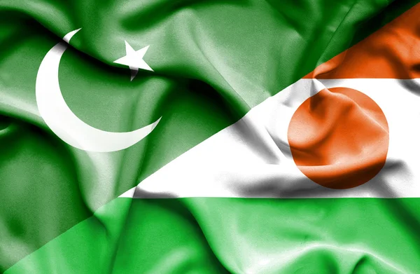 Waving flag of Niger and Pakistan — Stock Photo, Image