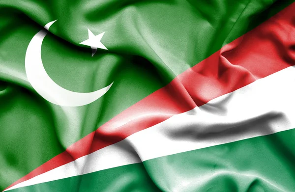 Waving flag of Seychelles and Pakistan — Stock Photo, Image