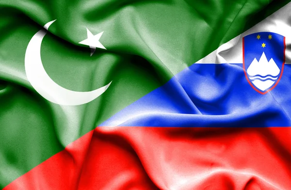 スロベニアとパキスタンの旗を振っています。 — ストック写真