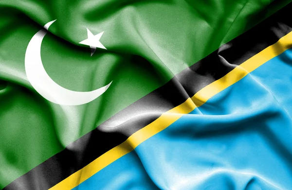Wapperende vlag van tanzania en pakistan — Stockfoto