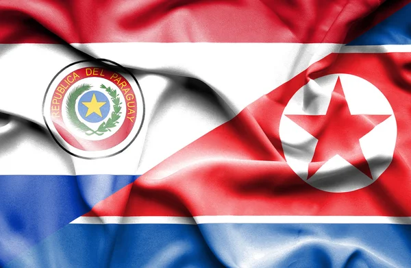 Flagge Nordkoreas und Paraguays schwenken — Stockfoto