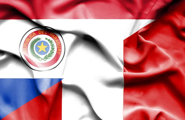 Розмахуючи прапором Перу і Парагвай — стокове фото