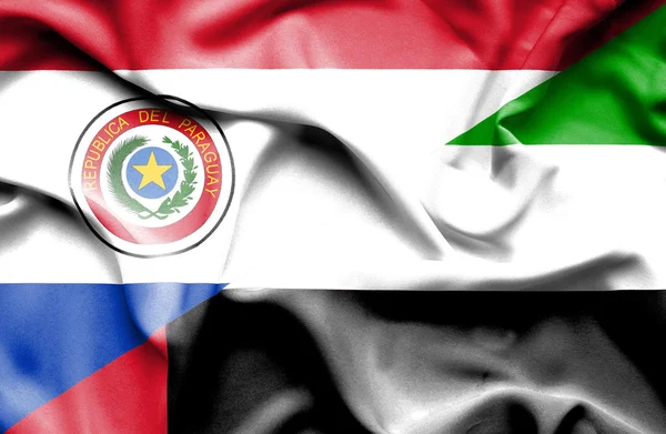 Birleşik Arap Emirlikleri ve paraguay Cumhuriyeti bayrağı sallayarak — Stok fotoğraf