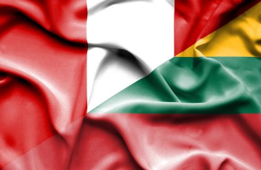 Litvanya ve peru bayrağı sallayarak