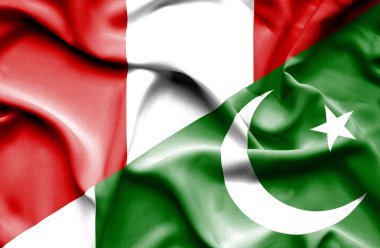 pakistan ve peru bayrağı sallayarak