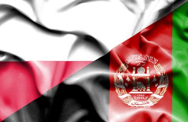 Afganistan ve Polonya bayrağı sallayarak