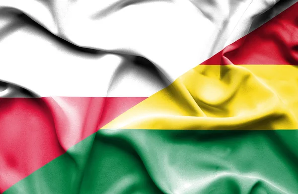 Flagge von Bolivien und Polen schwenkend — Stockfoto