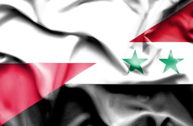 Suriye ve Polonya bayrağı sallayarak